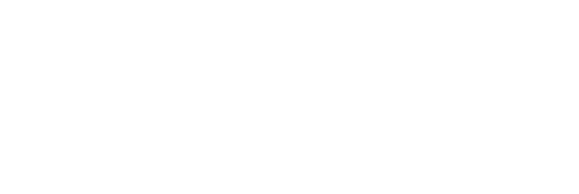 PROMOTORA CYFLOSA